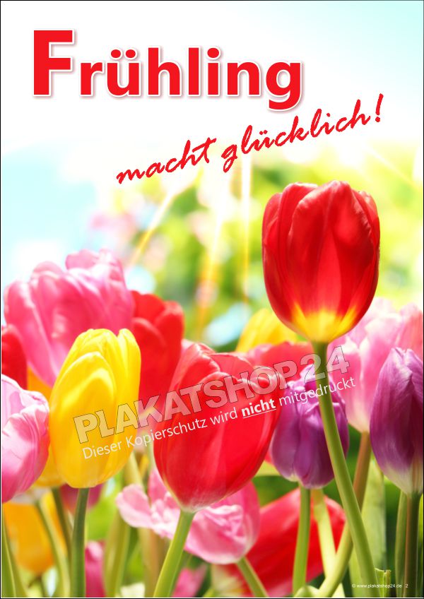 Neues Frühlings-Plakat für die Frühlingsdekoration Neues Frühlings-Plakat für die Frühlingsdekoration