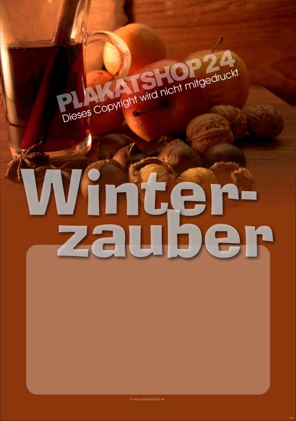 Plakat Winterzauber 