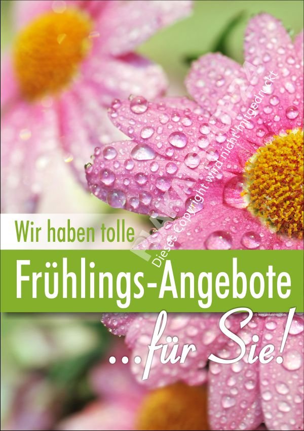 Plakat für die Frühjahrswerbung Wir haben tolle Frühlingsangebote