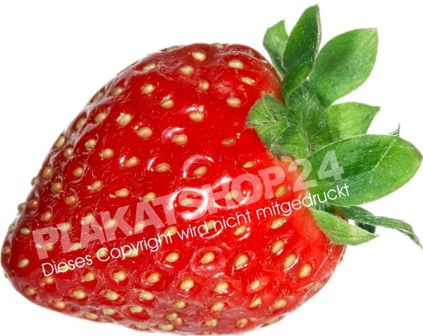 Erdbeer Aufkleber selbstklebende Folie mit Bild frische Erdbeere