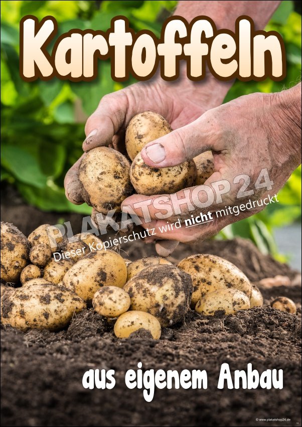 Kartoffel-Plakat für Kartoffel-Werbung