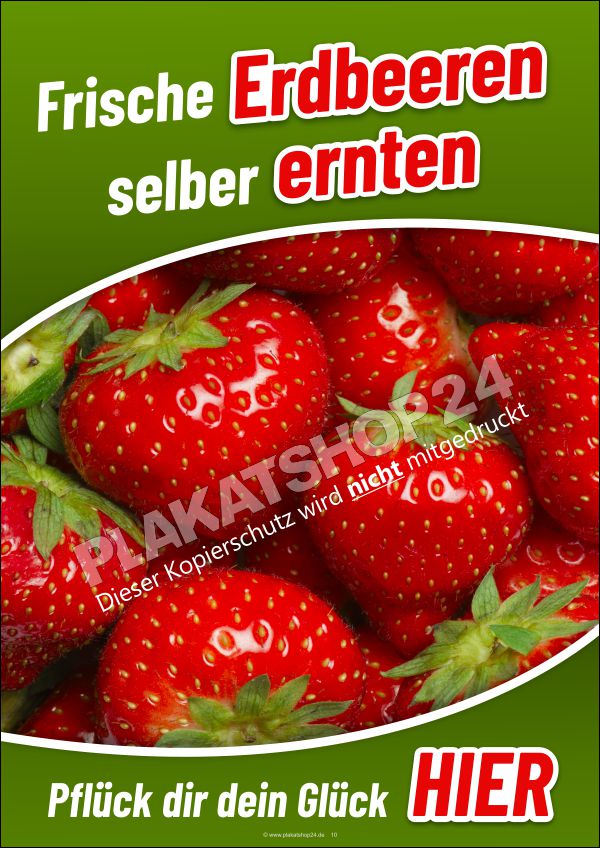 Werbeplakat Erdbeeren zum Selbstpflücken