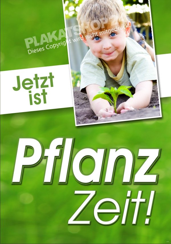 Werbeplakat Pflanzzeit für Gärtnerei, Blumenladen, Baumschule und Baumarkt