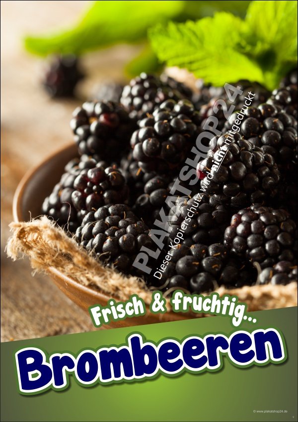 Brombeeren-Werbeposter für Obstbauern, Hofladen, Markstand