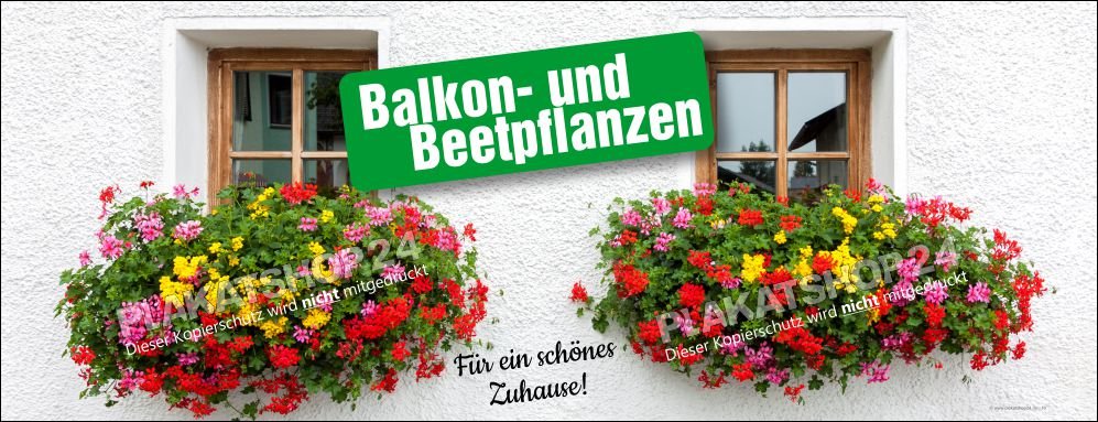 Floristikbanner Balkon- und Beetpflanzen