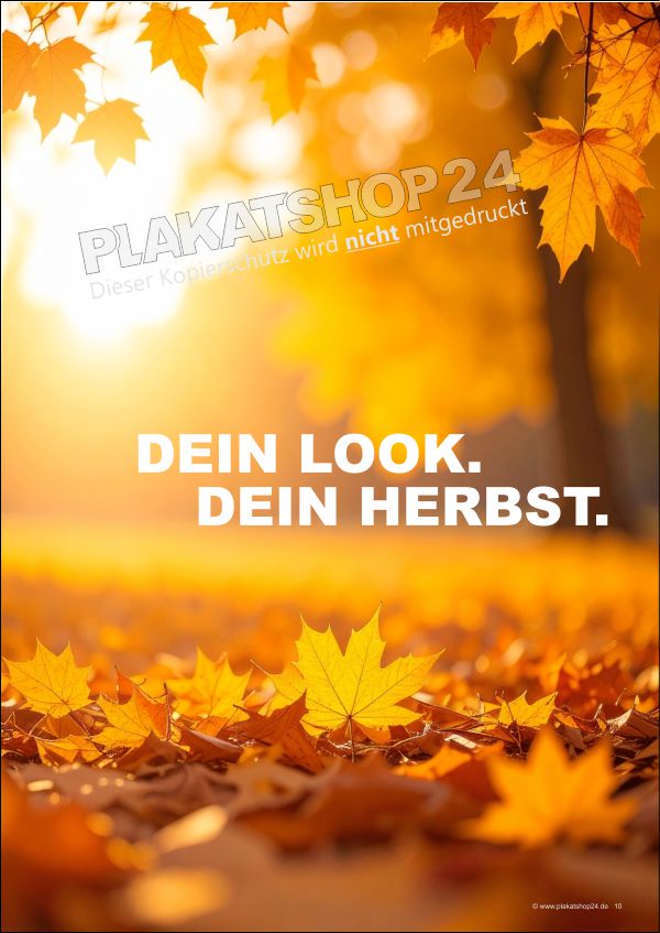 Dekoplakat Herbst für Modegeschäft Dekoplakat Herbst für Modegeschäft