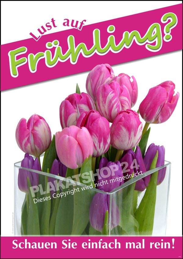 Plakat Frühling mit Tulpen-Motiv für Dekoration zum Thema Frühling