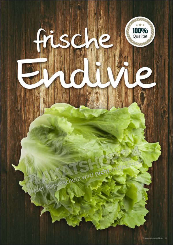 Werbeplakat für frische Endivie Werbeplakat für frische Endivie