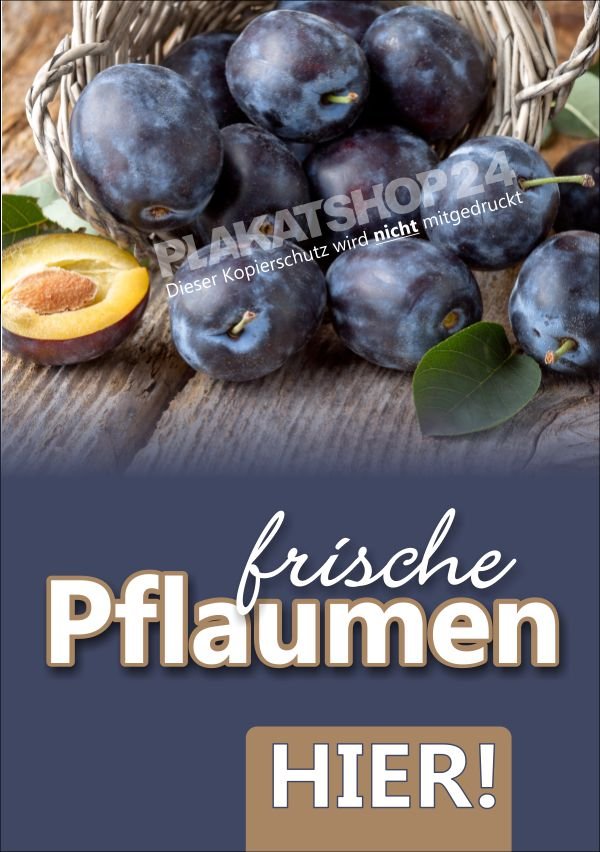 Plakat für Werbung frische Pflaumen
