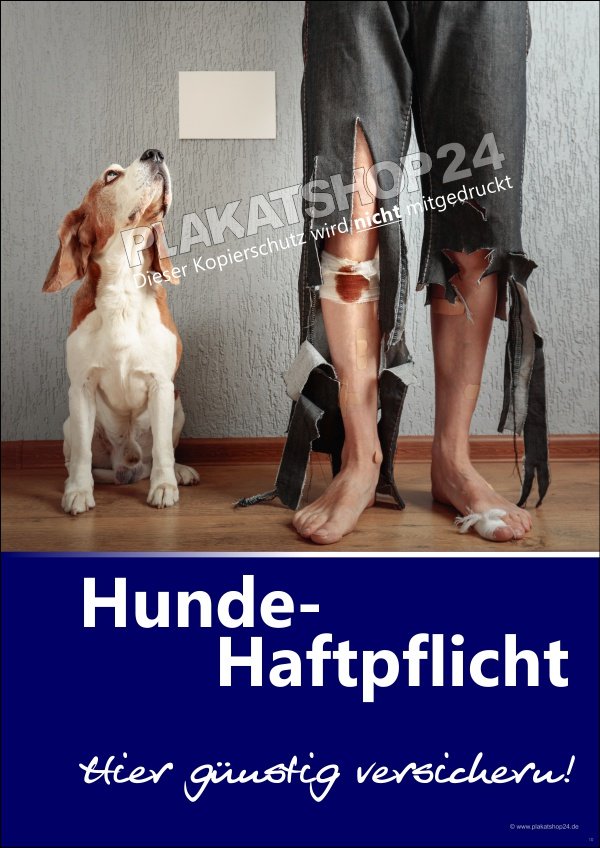 Plakat Hundehaftpflicht Werbung für Versicherungsbüro