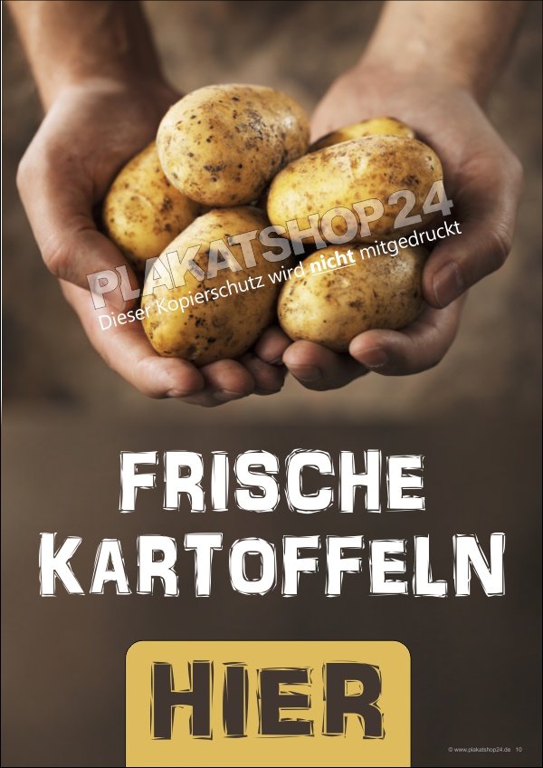 Wetterfestes Werbeschild frische Kartoffeln hier