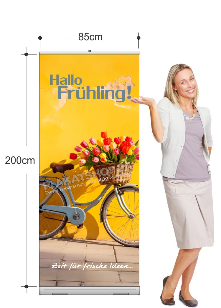 Dekoratives Frühlings-Rollupbanner für Ladendekoration Dekoratives Frühlings-Rollupbanner für Ladendekoration