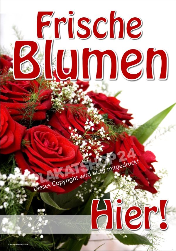 Plakate frische Blumen mit Foto rote Rosen