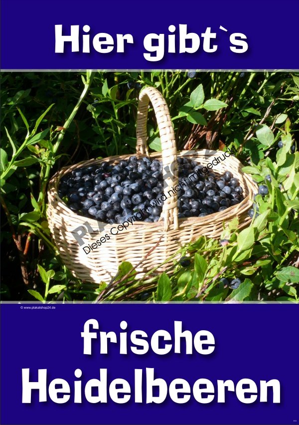 d1cac9c9e48867eb19c5b8a441f8a801 Heidelbeer-Plakat für den Verkauf von frischen Heidelbeeren