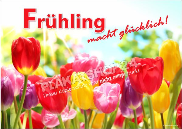 Aktuelles Frühlings-Plakat im Querformat