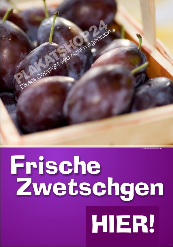 Werbeplakat frische Pflaumen-Zwetschgen für Obstbau und Obststand