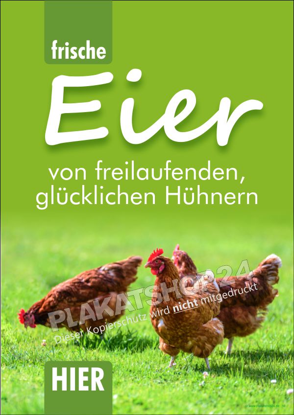 Werbeposter Eierverkauf von freilaufenden Hühnern