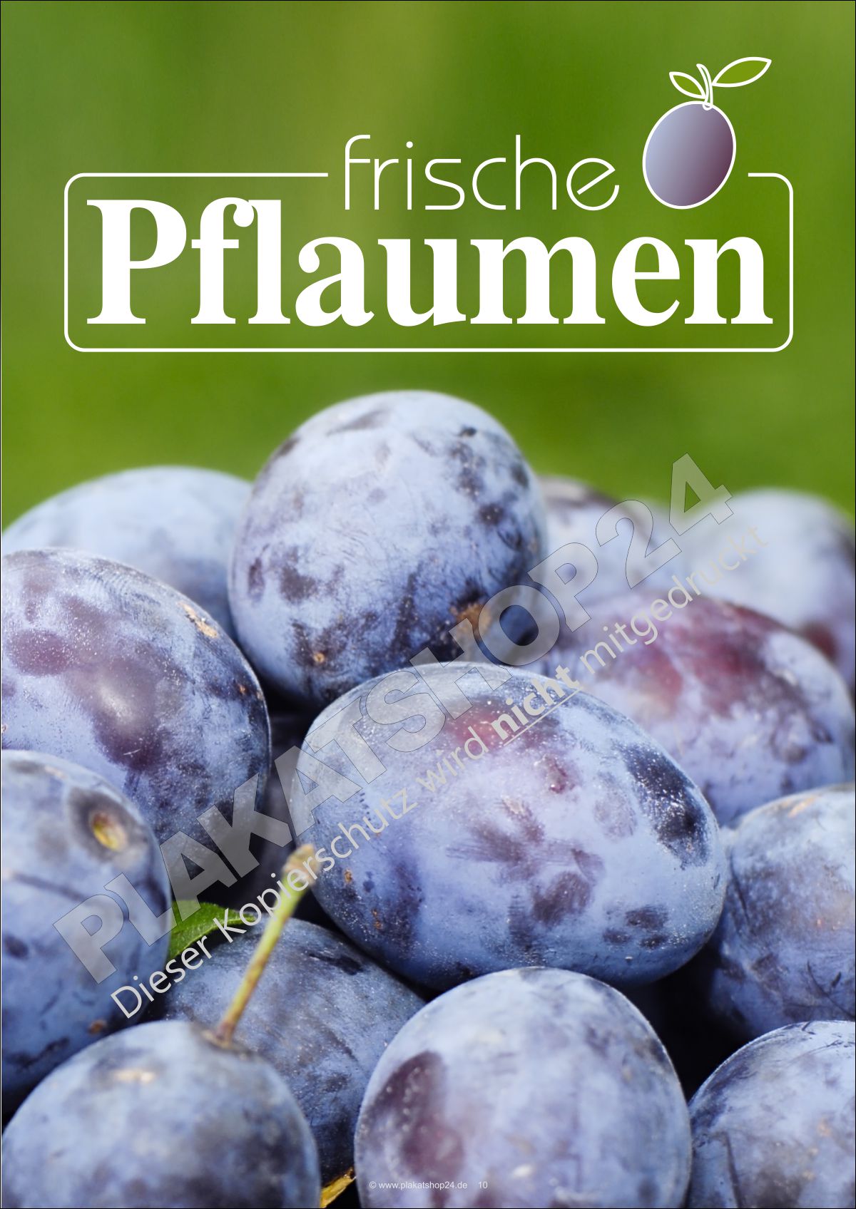 Werbeplakat frische Pflaumen zu verkaufen Werbeplakat frische Pflaumen zu verkaufen