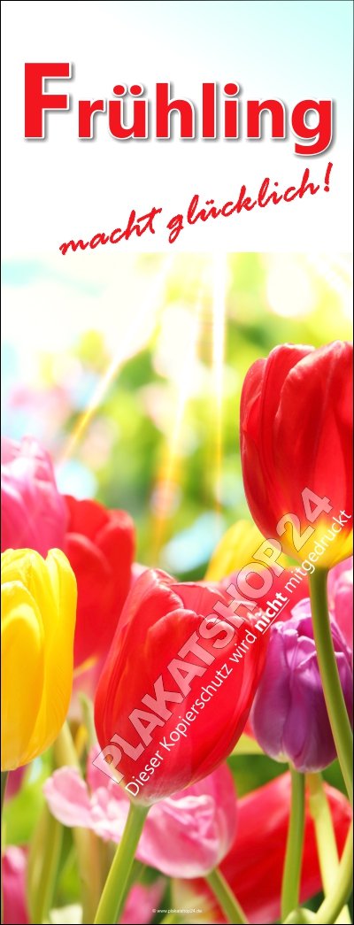 Aktuelles Frühlings-Dekobanner  mit farbenfrohem Tulpenmotiv