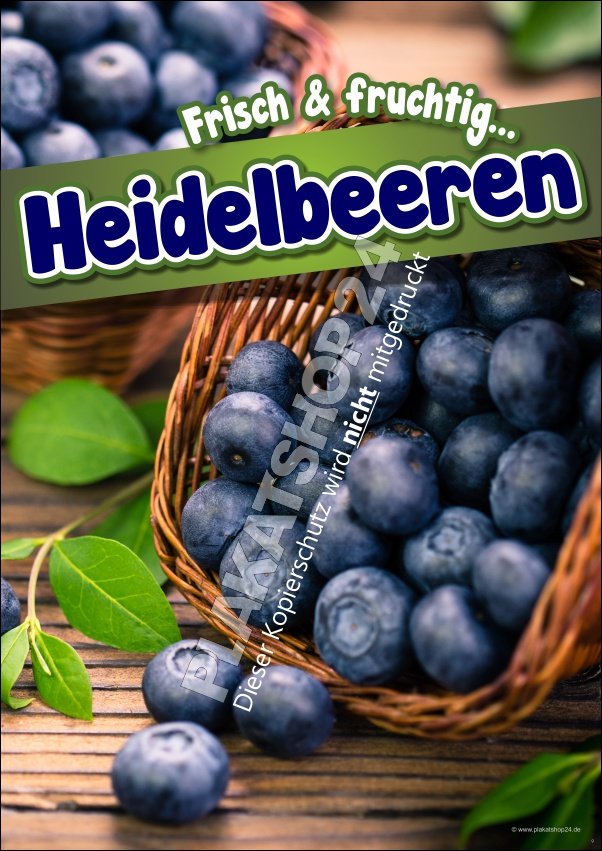 plakat-frische-heidelbeeren Plakat Blaubeeren / Heidelbeeren