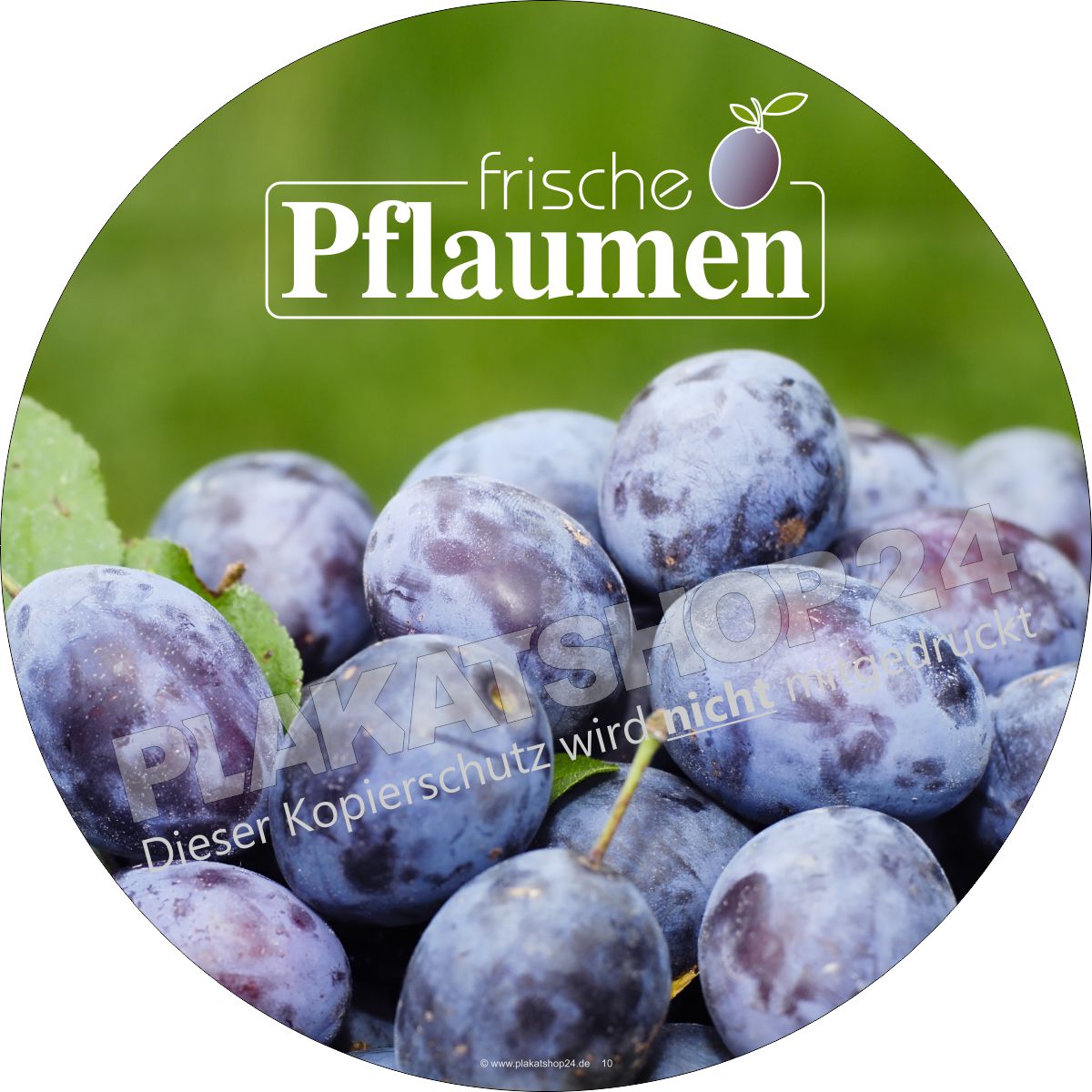 Aufkleber frische Pflaumen zu verkaufen