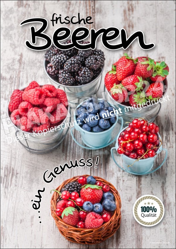 Schönes Werbeplakat Foto Auswahl Beerenfrüchte