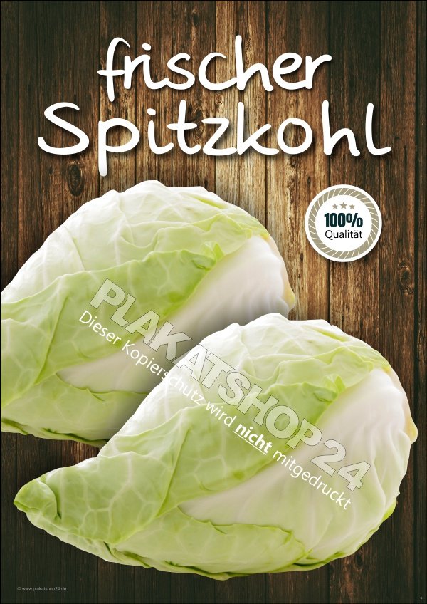 plakat-frischer-spitzkohl Plakat frischer Spitzkohl