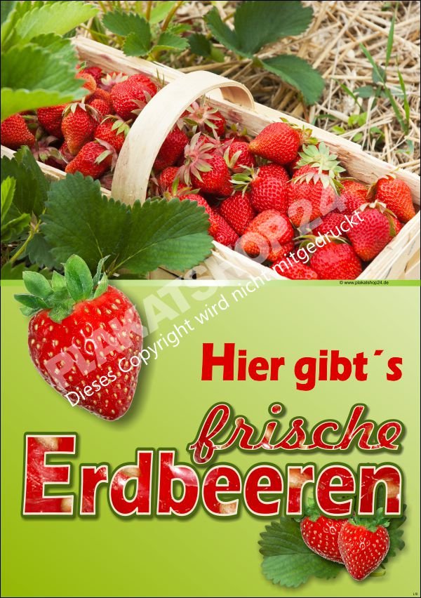 Werbeschild frische Erdbeeren
