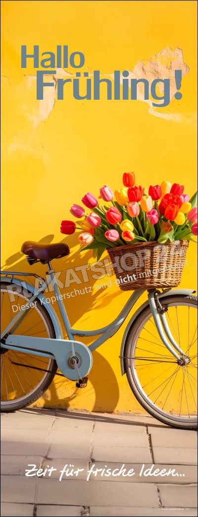 Dekobanner Frühling für die Ladendekoration Dekobanner Frühling für die Ladendekoration