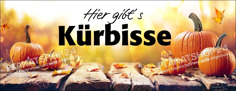 werbebanner-k-rbisse Werbebanner Kürbisse zu verkaufen