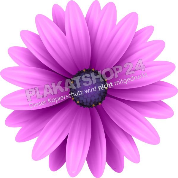 Blumenaufkleber lila Margerite