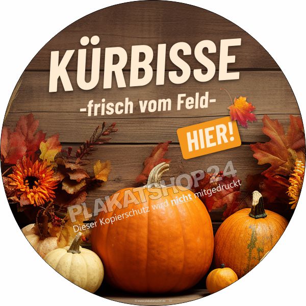 Feldfrische Kürbisse Aufkleber
