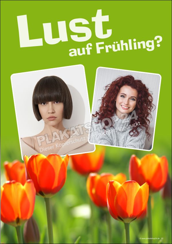 Friseurposter Lust auf Frühling