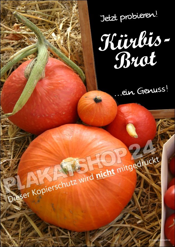 Plakat Kürbisbrot