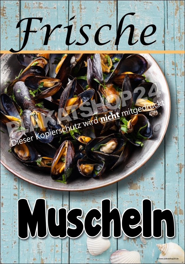 XA8098 Plakat frische Muscheln