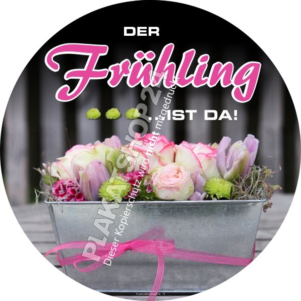 XA7273 runder Frühling-Aufkleber für die Schaufenstergestaltung