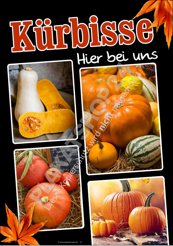 Werbeplakat für den Verkauf von Kürbissen
