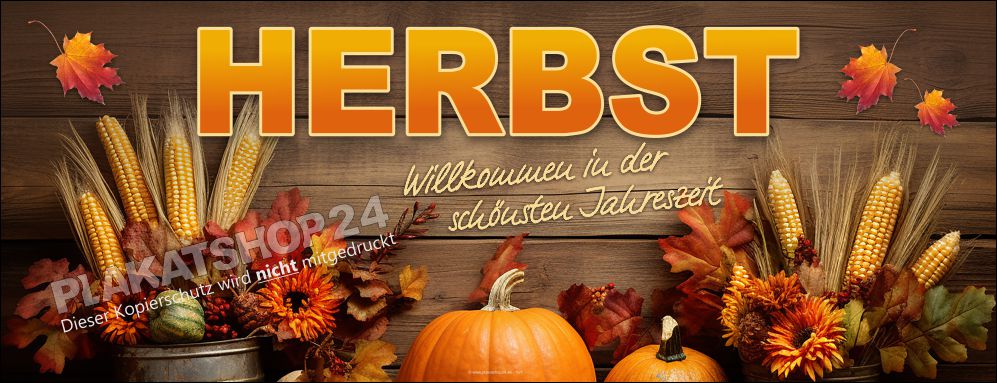 Dekoratives Werbebanner - Hebst - die schönste Zeit des Jahres