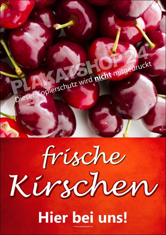 Plakat frische Kirschen