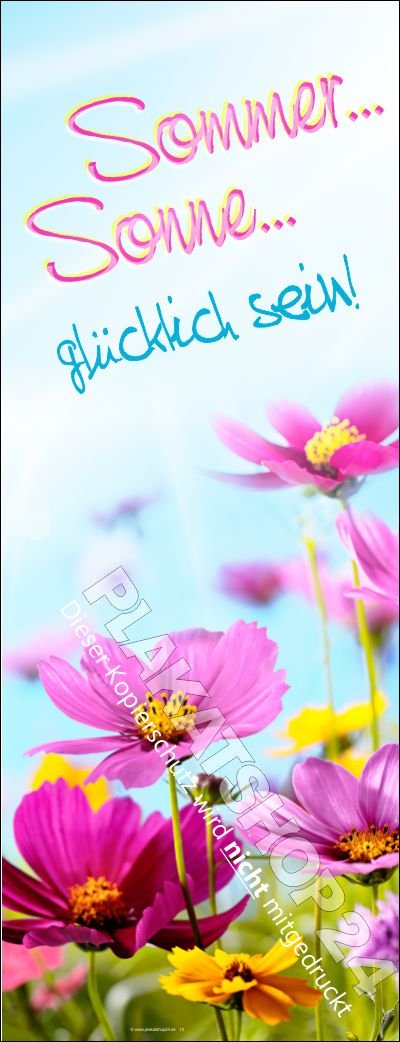 Dekobanner farbenfrohes Sommerschaufenster