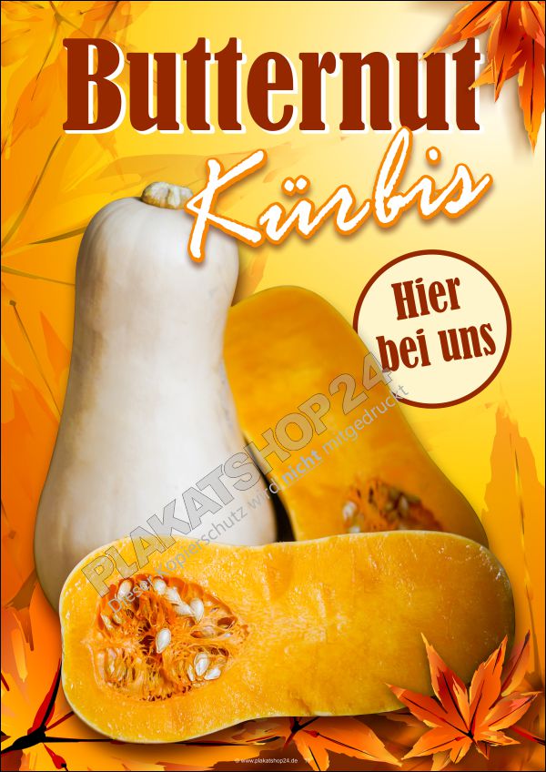 Werbeplakat Butternut Kürbis