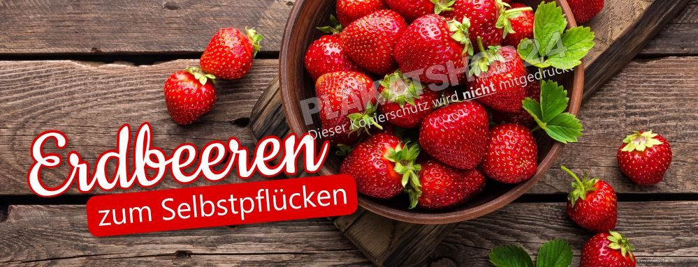 banner-erdbeeren-zum-selberpfluecken Banner Erdbeeren zum Selbstpflücken