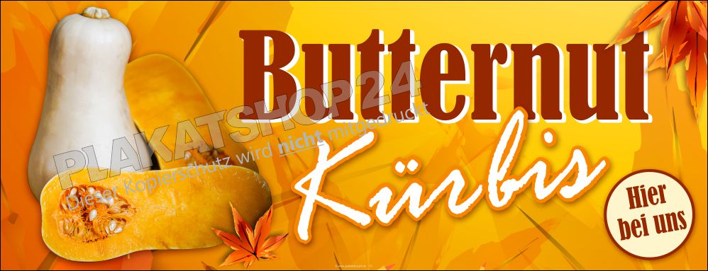 Werbebanner Butternut Kürbis Werbebanner Butternut Kürbis